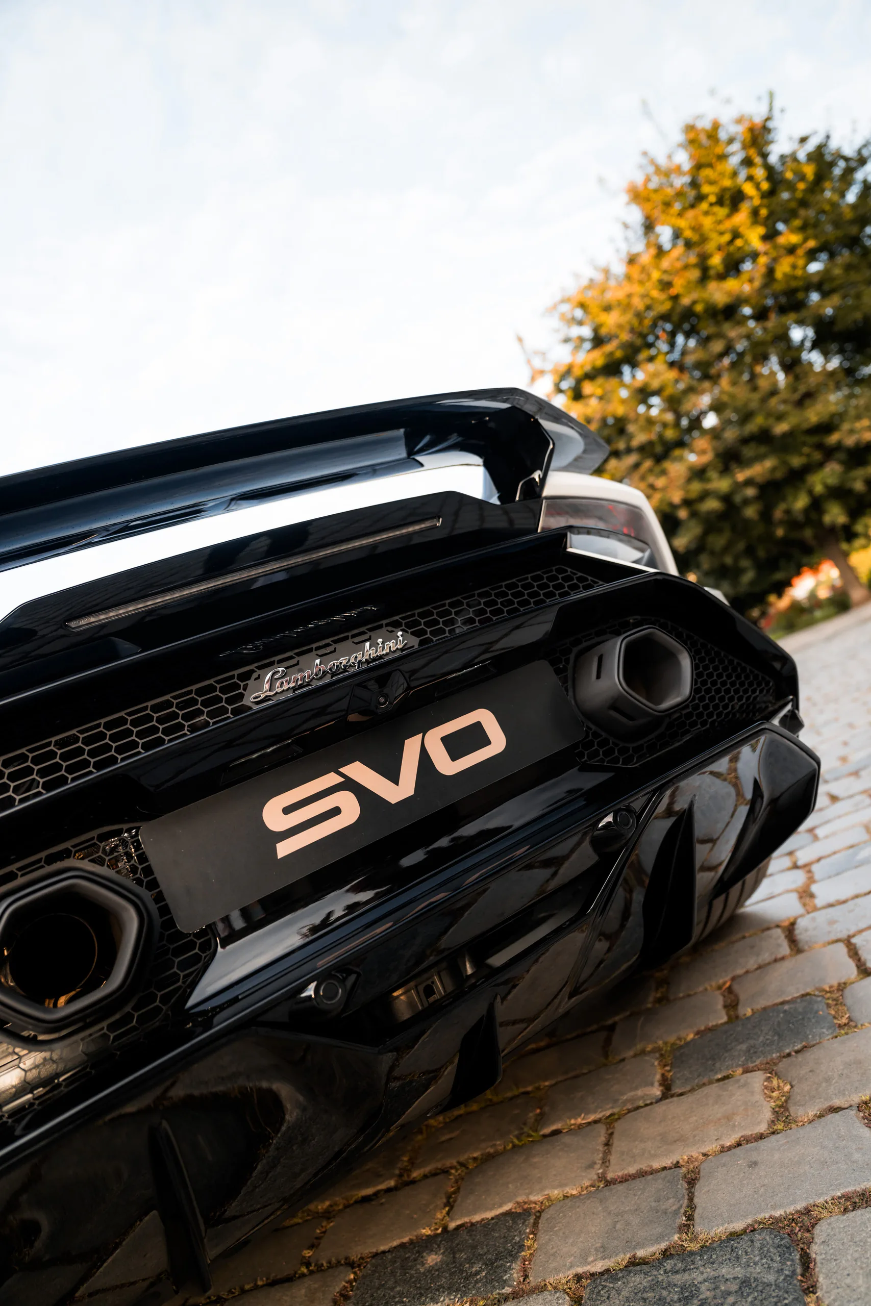 Rear diffuser and hexagonal exhausts carrying an SVO plate